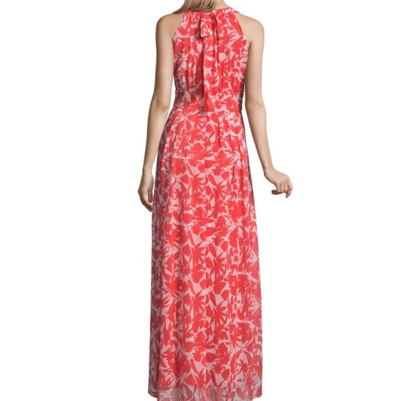 5 star ⭐️⭐️⭐️⭐️⭐️ rated!! Only 2 left!! - Picture 3 of 5